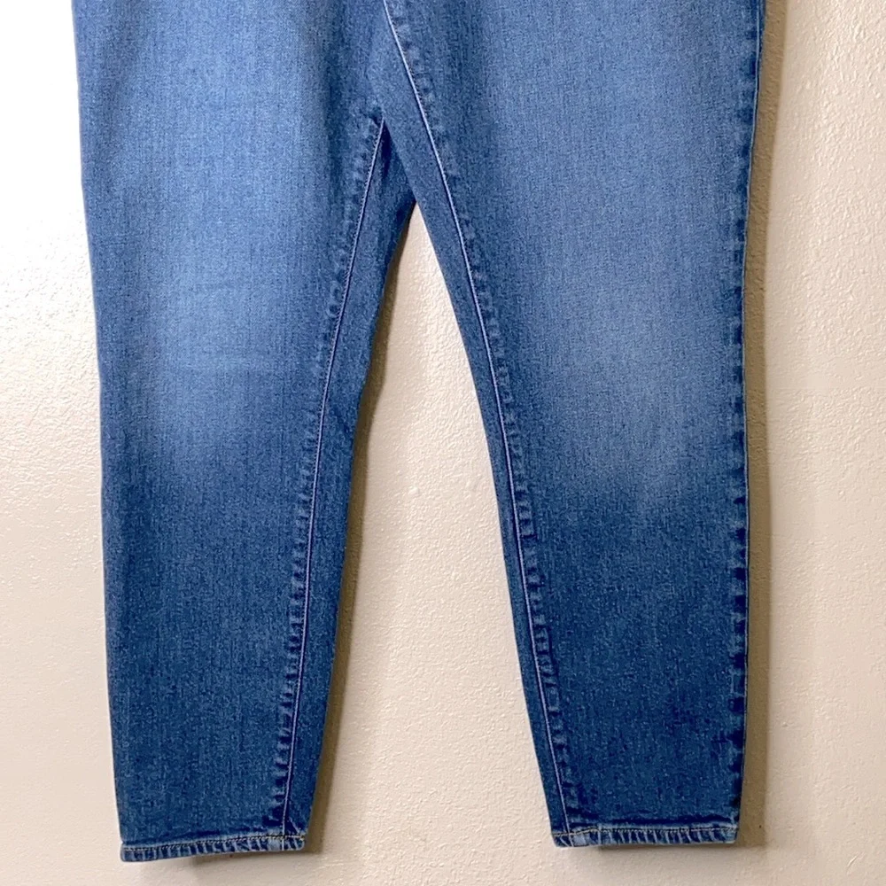 Reimaged by J.Crew Plus Size High-rise Medium Wash Skinny Jeans 3165